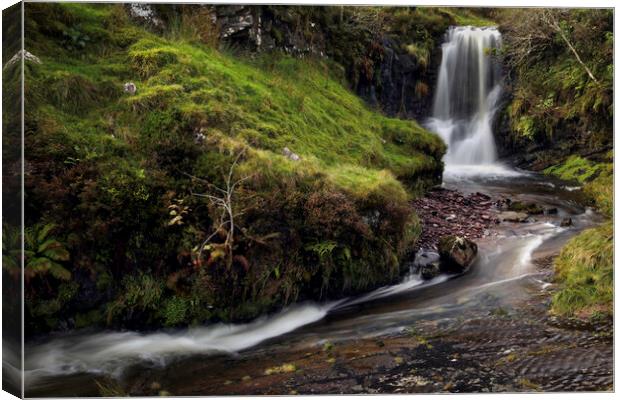 Waterfall and stream in the Brecon Beacons Canvas Print by Leighton Collins