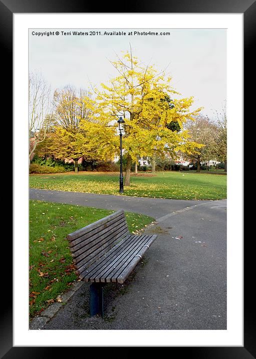 Autumn Bench in the Park Framed Mounted Print by Terri Waters