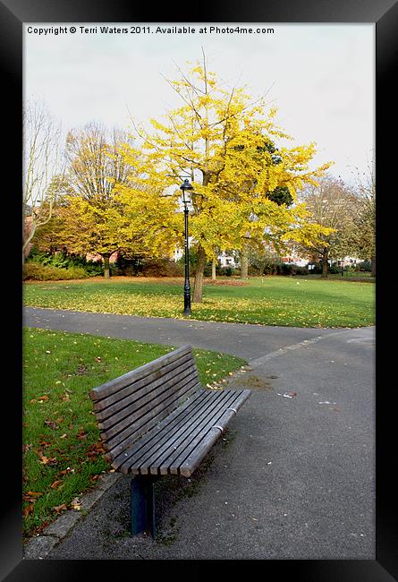 Autumn Bench in the Park Framed Print by Terri Waters