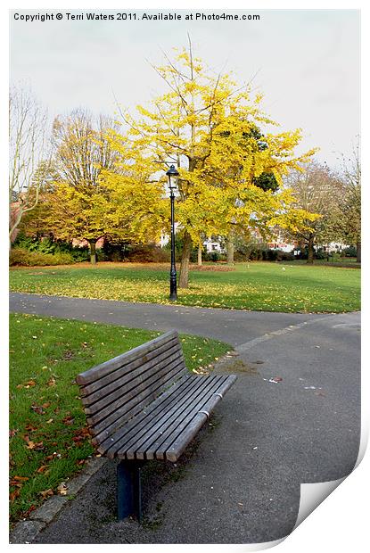 Autumn Bench in the Park Print by Terri Waters