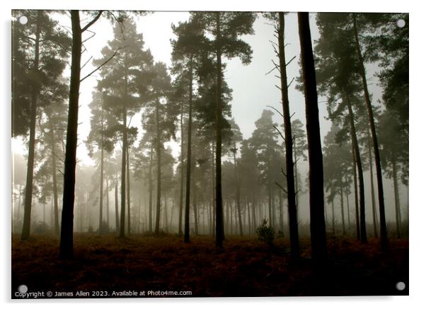 Thetford Forrest On A Misty Morning  Acrylic by James Allen