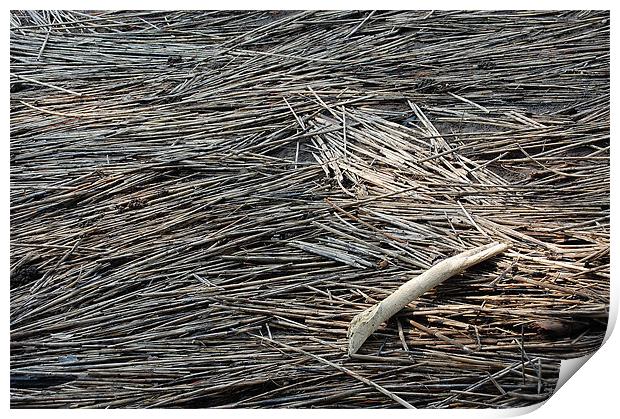 Driftwood at Low Tide Print by Tom Spann