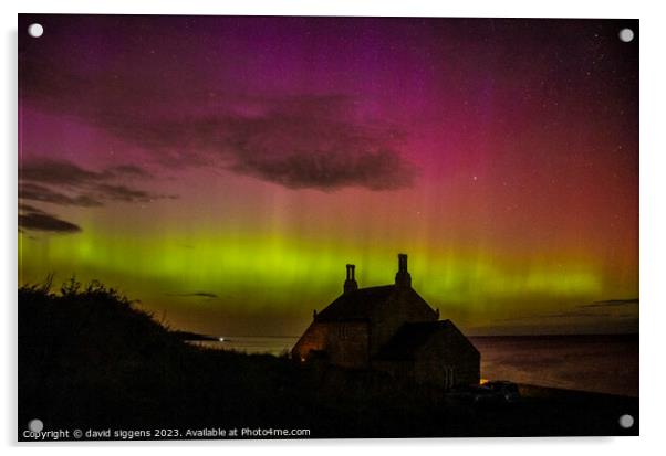 Aurora northumberland Howick Acrylic by david siggens