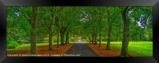 Down the Autumn Avenue - (Panorama.) Framed Print by 28sw photography