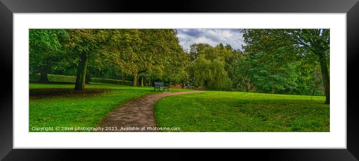 A Willow of a Leading Line - (Panorama.) Framed Mounted Print by 28sw photography