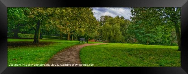 A Willow of a Leading Line - (Panorama.) Framed Print by 28sw photography