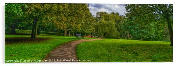 A Willow of a Leading Line - (Panorama.) Acrylic by 28sw photography