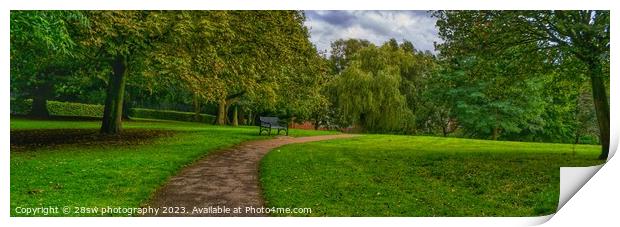 A Willow of a Leading Line - (Panorama.) Print by 28sw photography