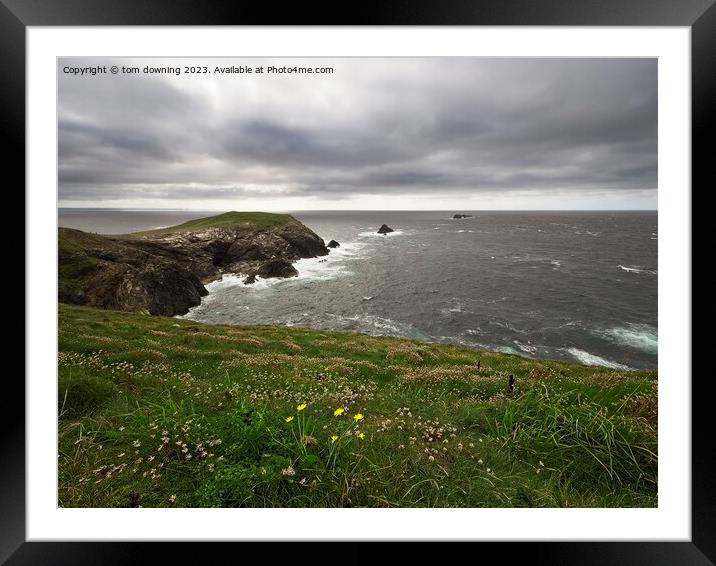Dinas Head Framed Mounted Print by tom downing