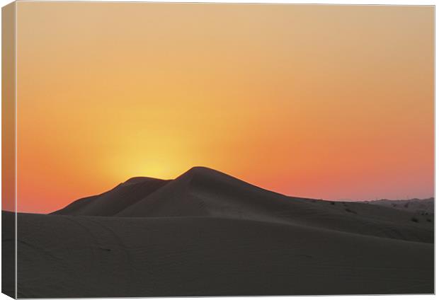 Sunset, Arabian Desert Canvas Print by DEE- Diana Cosford