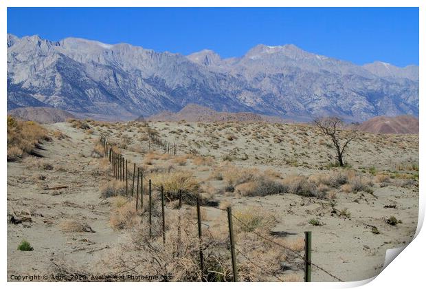 Mountain range in Death valley California Print by Arun 