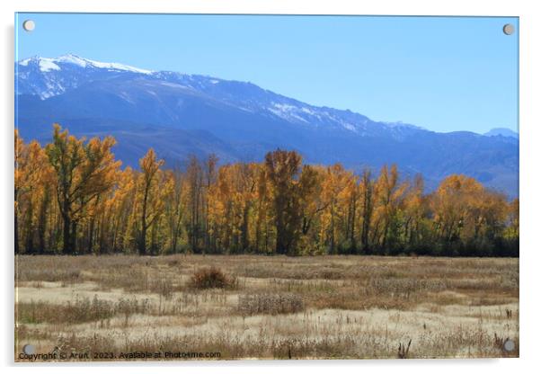 Trees changing colour in Eastern Sierras California Acrylic by Arun 