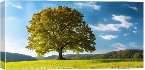In the serene countryside, a majestic maple tree stands tall in a lush meadow under a captivating blue sky Canvas Print by Joaquin Corbalan