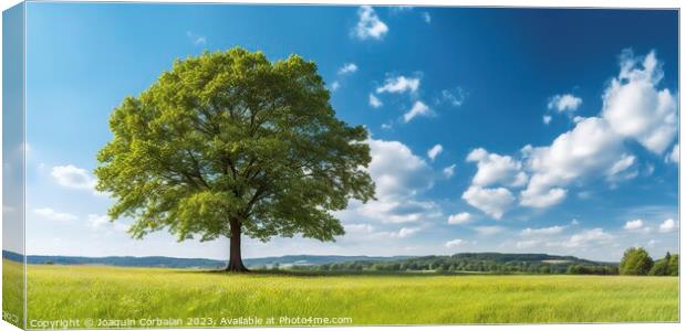 A country landscape, a large maple tree in a meadow with green grass and beautiful blue sky. Canvas Print by Joaquin Corbalan