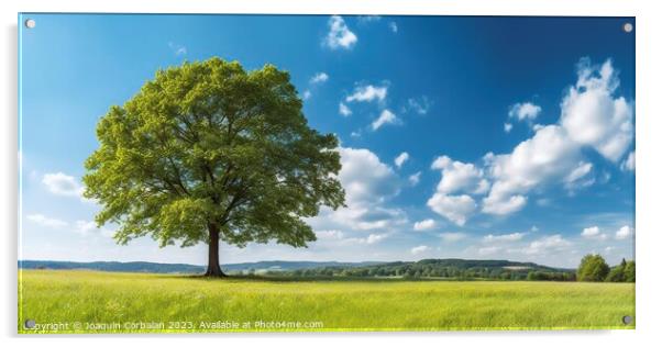 A country landscape, a large maple tree in a meadow with green grass and beautiful blue sky. Acrylic by Joaquin Corbalan