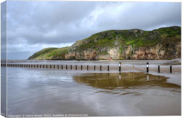 Brean Down Reflections Canvas Print by Diana Mower