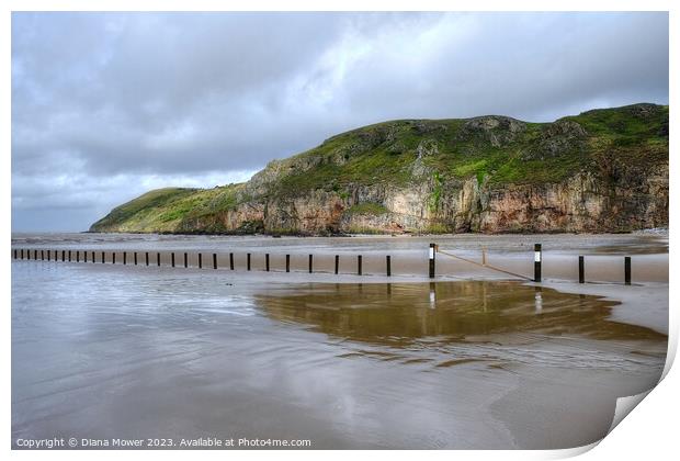 Brean Down Reflections Print by Diana Mower