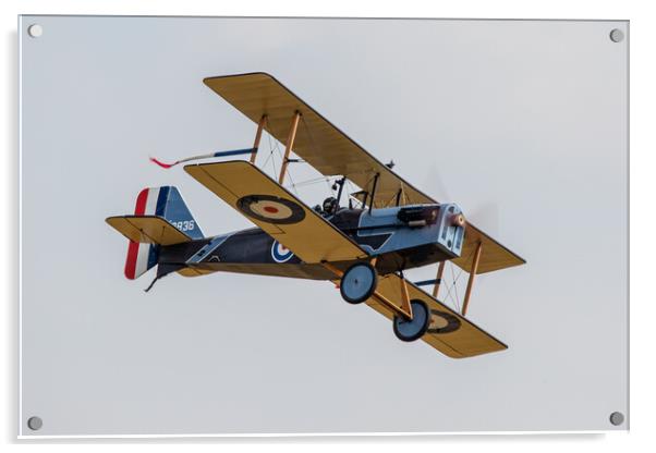 WW1 Aviator Acrylic by J Biggadike