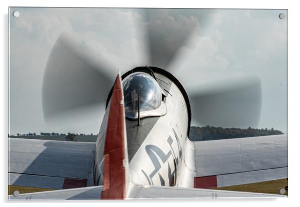 P-47 Thunderbolt Nellie B Acrylic by J Biggadike