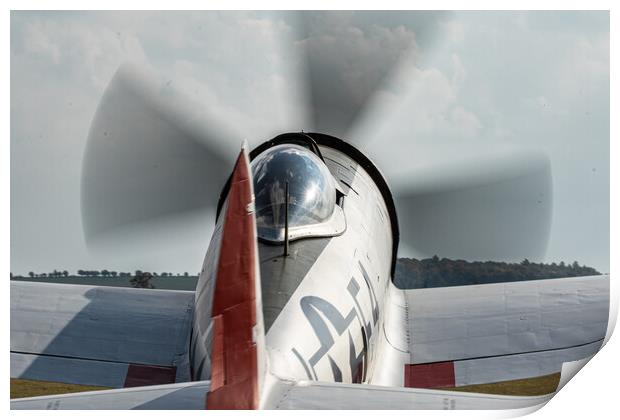 P-47 Thunderbolt Nellie B Print by J Biggadike