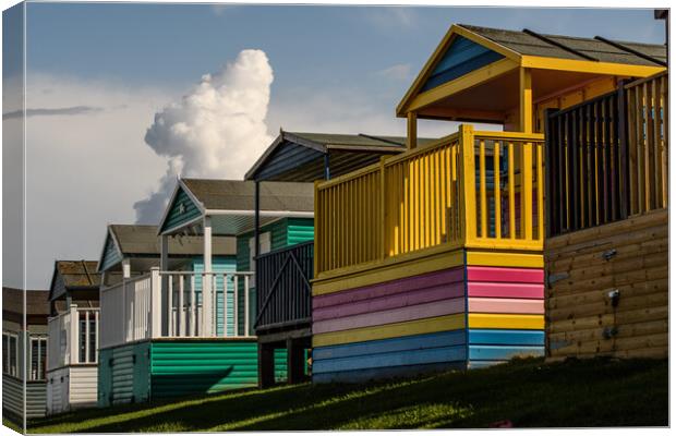  Tankerton beach huts, bathed in sunlight Canvas Print by Rob Lucas