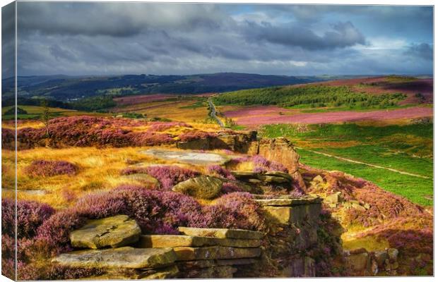 Burbage Rocks and Valley in Summer Canvas Print by Darren Galpin