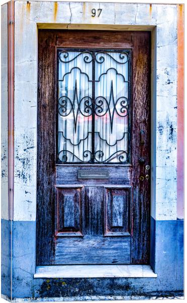 Rustic Aveiro Old Door Canvas Print by Steven Dale