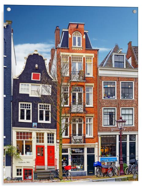 Narrow houses Amsterdam 2 Acrylic by Dudley Wood