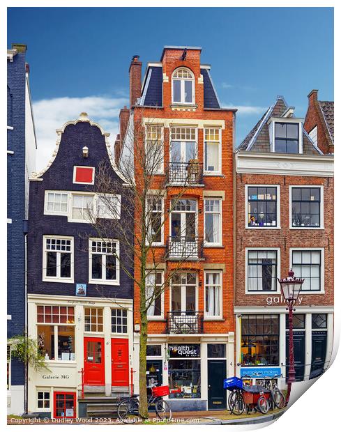 Narrow houses Amsterdam 2 Print by Dudley Wood