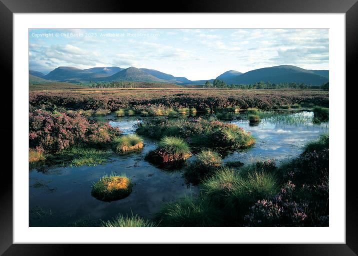 Summer in the Cairngorms Framed Mounted Print by Phil Banks
