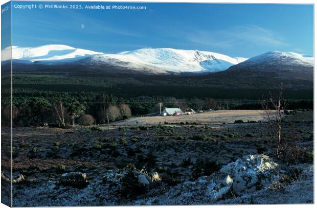 Cairngorm Mountains from Whitewell Canvas Print by Phil Banks