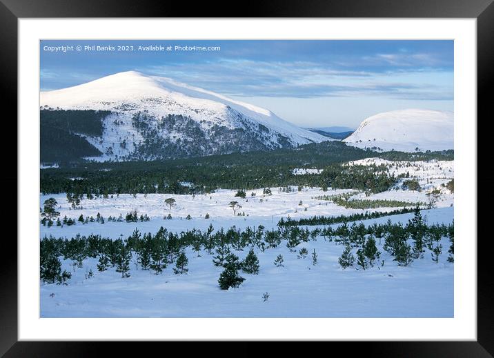 Meall a Bhuachaille - Glenmore Forest - Cairngorm Mountains Framed Mounted Print by Phil Banks