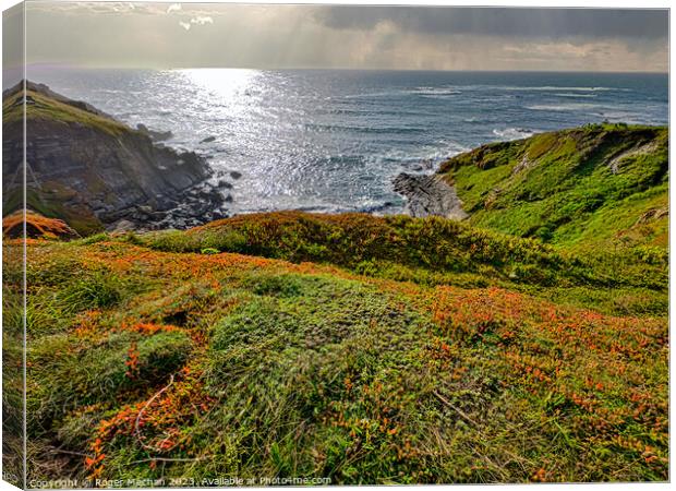Cliffs and Cove the Lizard peninsula Cornwall  Canvas Print by Roger Mechan
