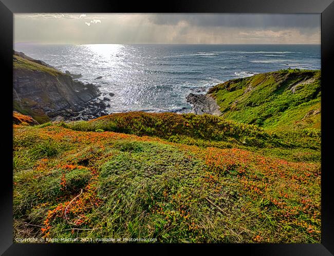 Cliffs and Cove the Lizard peninsula Cornwall  Framed Print by Roger Mechan