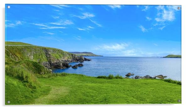 Scotland Shetland scenery in England with cliffs, ocean views and green pastures Acrylic by Elijah Lovkoff