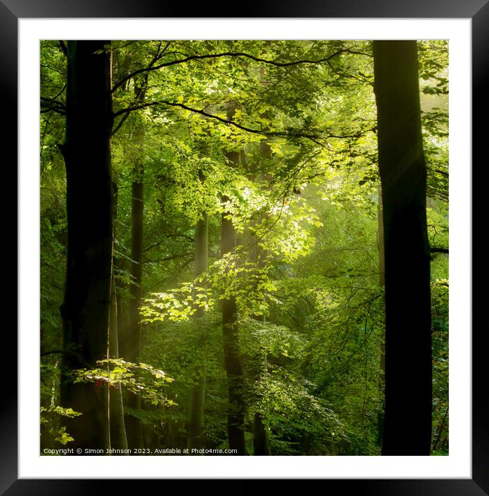woodland light Framed Mounted Print by Simon Johnson