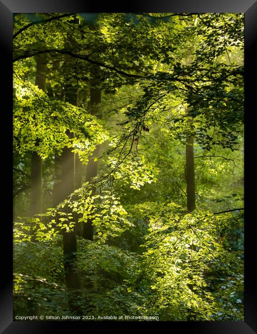 sunlit leaves Framed Print by Simon Johnson