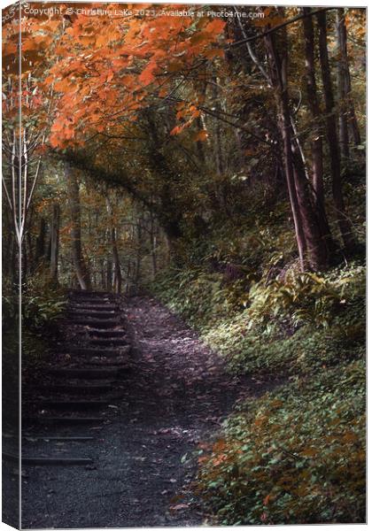 Sunny Autumn Walk 2 Canvas Print by Christine Lake