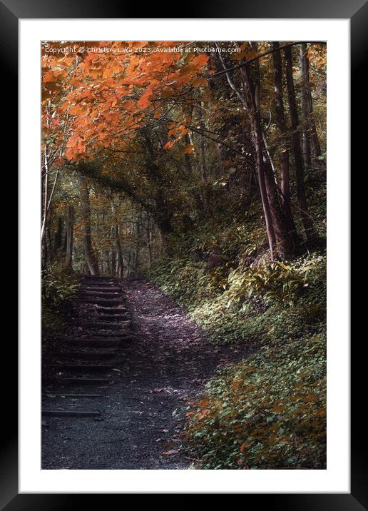 Sunny Autumn Walk 2 Framed Mounted Print by Christine Lake