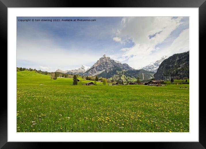 Swiss Pasture Framed Mounted Print by tom downing