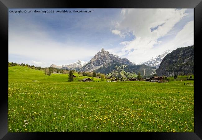 Swiss Pasture Framed Print by tom downing
