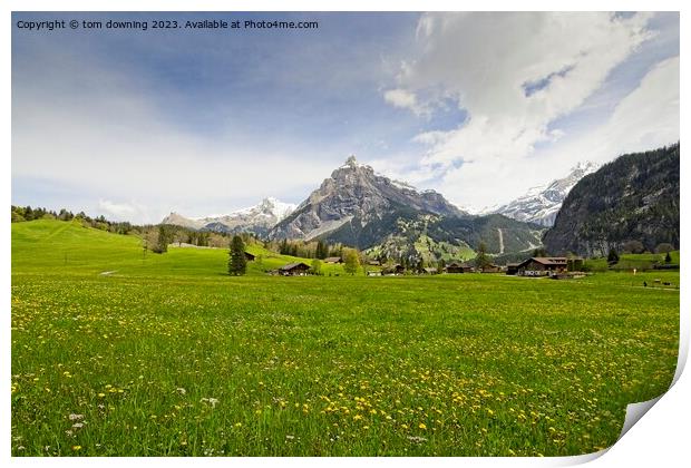 Swiss Pasture Print by tom downing