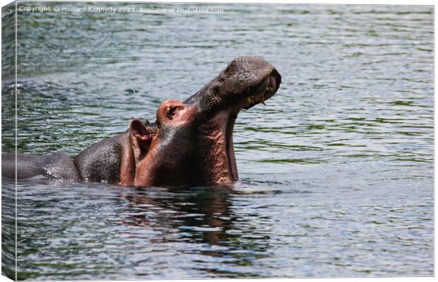 Hippo at Mzima Springs Canvas Print by Howard Kennedy
