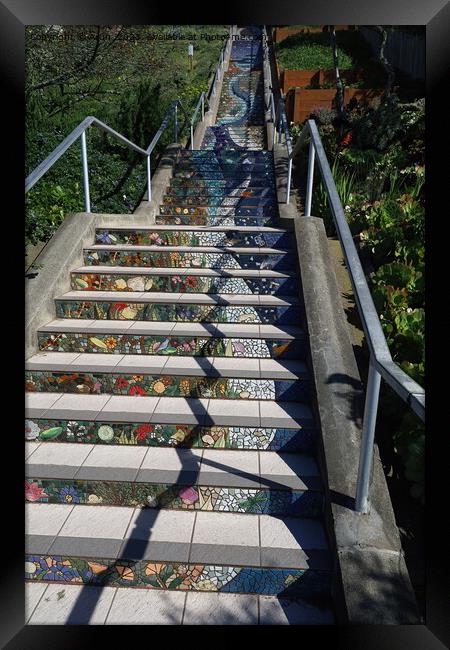 San francisco mosaic stairway Framed Print by Arun 