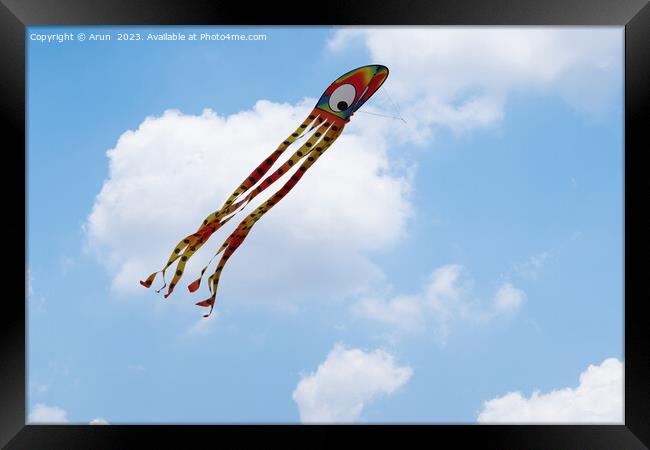 Kite Festival Framed Print by Arun 