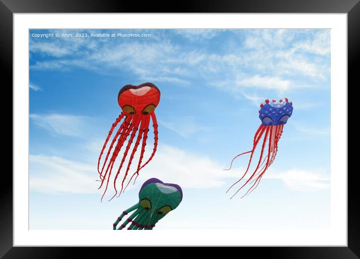 Kite Festival Framed Mounted Print by Arun 