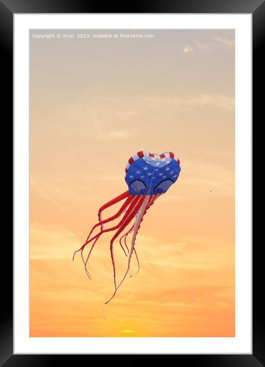 Kite Festival Framed Mounted Print by Arun 