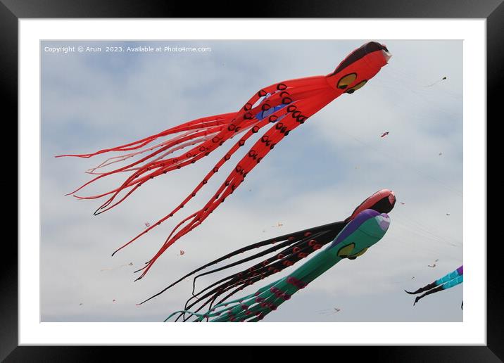 Kite Festival Framed Mounted Print by Arun 