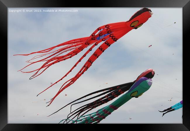 Kite Festival Framed Print by Arun 