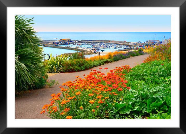 Beautiful Lyme Regis Framed Mounted Print by Alison Chambers